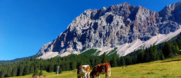 E-MTB – Rund um die Zugspitze „light“ / Schnupper-Transalp