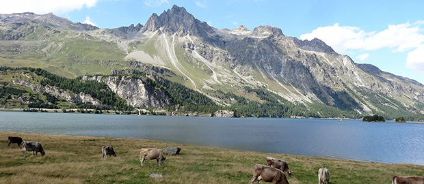 E-MTB Transalp Füssen – Comer See