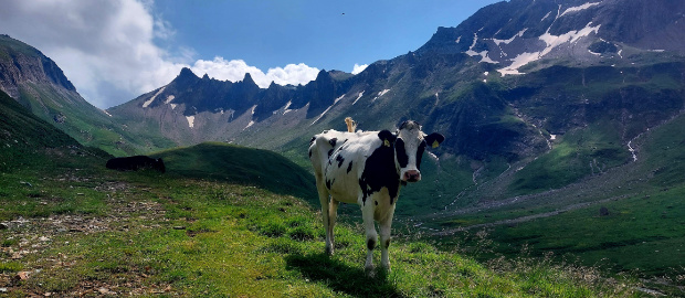 Transalp Lenggries-Brixen